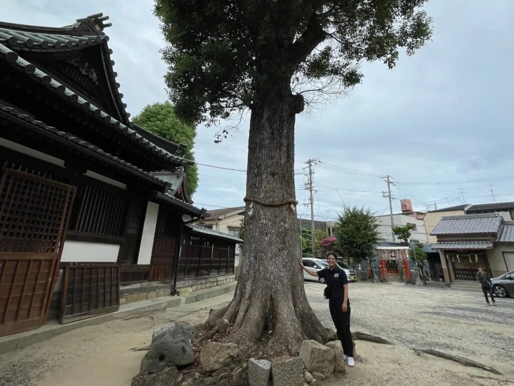 八幡大神宮